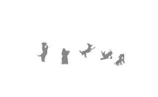Client-_0037_SBRET
